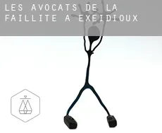 Les avocats de la faillite à  Exeidioux