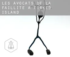Les avocats de la faillite à Forked Island