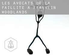 Les avocats de la faillite à  Franklin Woodlands