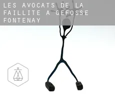 Les avocats de la faillite à Géfosse-Fontenay