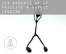 Les avocats de la faillite à Haynes Landing