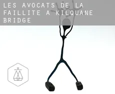 Les avocats de la faillite à  Kilquane Bridge