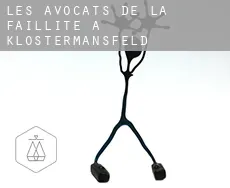 Les avocats de la faillite à Klostermansfeld