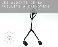 Les avocats de la faillite à Křenovice