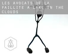 Les avocats de la faillite à  Lake in the Clouds