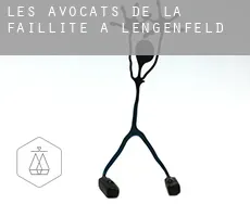 Les avocats de la faillite à  Lengenfeld