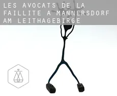 Les avocats de la faillite à Mannersdorf am Leithagebirge