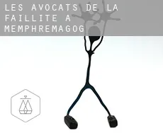 Les avocats de la faillite à  Memphrémagog