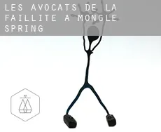 Les avocats de la faillite à  Mongle Spring