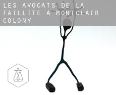 Les avocats de la faillite à  Montclair Colony
