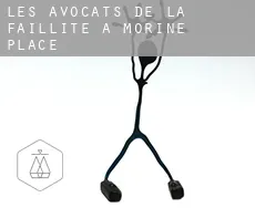 Les avocats de la faillite à Morine Place