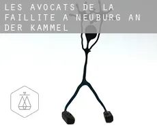 Les avocats de la faillite à  Neuburg an der Kammel