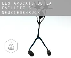 Les avocats de la faillite à  Neuziegenrück