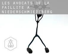 Les avocats de la faillite à  Niederschmiedeberg
