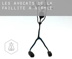 Les avocats de la faillite à Normée