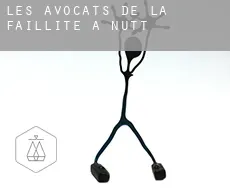 Les avocats de la faillite à Nutt
