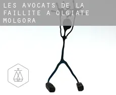 Les avocats de la faillite à Olgiate Molgora
