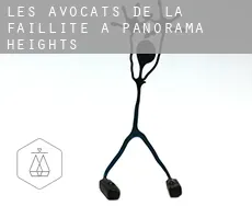 Les avocats de la faillite à  Panorama Heights