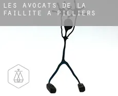 Les avocats de la faillite à  Pilliers