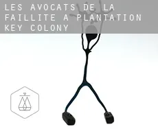 Les avocats de la faillite à  Plantation Key Colony