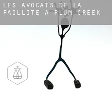 Les avocats de la faillite à  Plum Creek