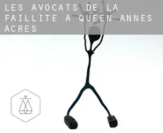 Les avocats de la faillite à Queen Annes Acres