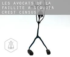 Les avocats de la faillite à  Sequoia Crest