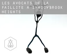 Les avocats de la faillite à  Shadowbrook Heights