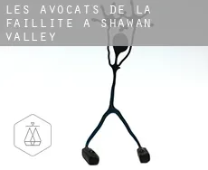 Les avocats de la faillite à  Shawan Valley