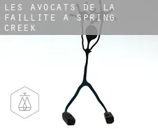 Les avocats de la faillite à Spring Creek
