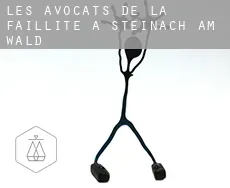 Les avocats de la faillite à Steinach am Wald