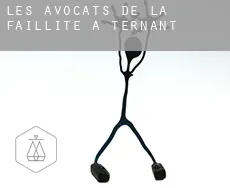 Les avocats de la faillite à  Ternant