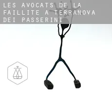 Les avocats de la faillite à  Terranova dei Passerini