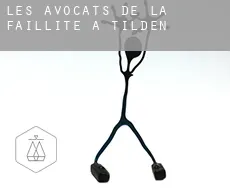 Les avocats de la faillite à  Tilden