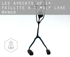 Les avocats de la faillite à Timber Lake Manor