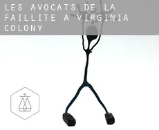 Les avocats de la faillite à  Virginia Colony