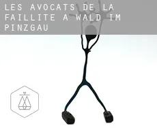 Les avocats de la faillite à Wald im Pinzgau