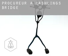 Procureur à  Cashlings Bridge