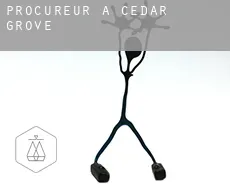 Procureur à  Cedar Grove