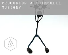 Procureur à Chambolle-Musigny