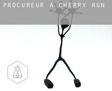 Procureur à  Cherry Run