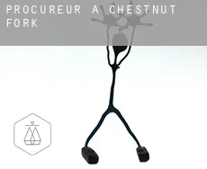 Procureur à  Chestnut Fork