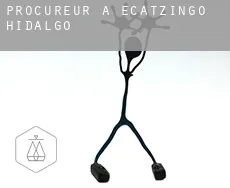 Procureur à  Ecatzingo de Hidalgo