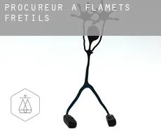 Procureur à  Flamets-Frétils