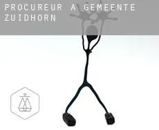 Procureur à  Gemeente Zuidhorn