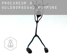 Procureur à  Guldborgsund Kommune