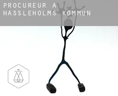 Procureur à Hässleholms Kommun