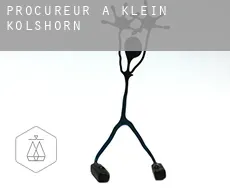 Procureur à  Klein Kolshorn