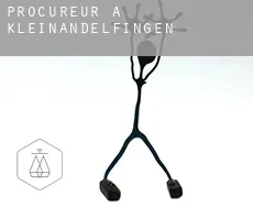 Procureur à  Kleinandelfingen