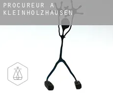 Procureur à  Kleinholzhausen